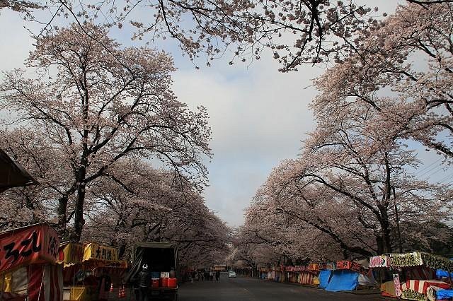 🌸 코바야시 목장(코바야시보쿠조) 이미지 1